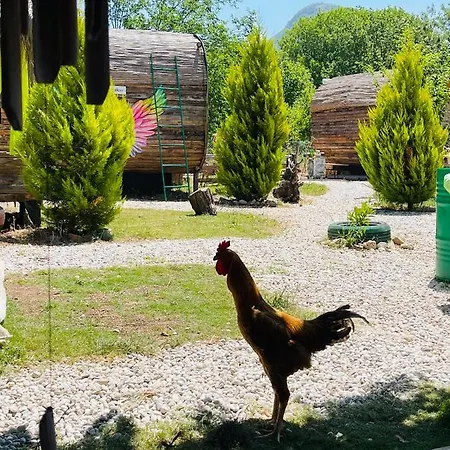 Pusula Ξενοδοχείο *
