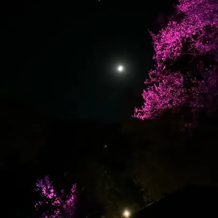 Pusula Ξενοδοχείο *